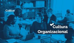 capa do artigo sobre cultura organizacional